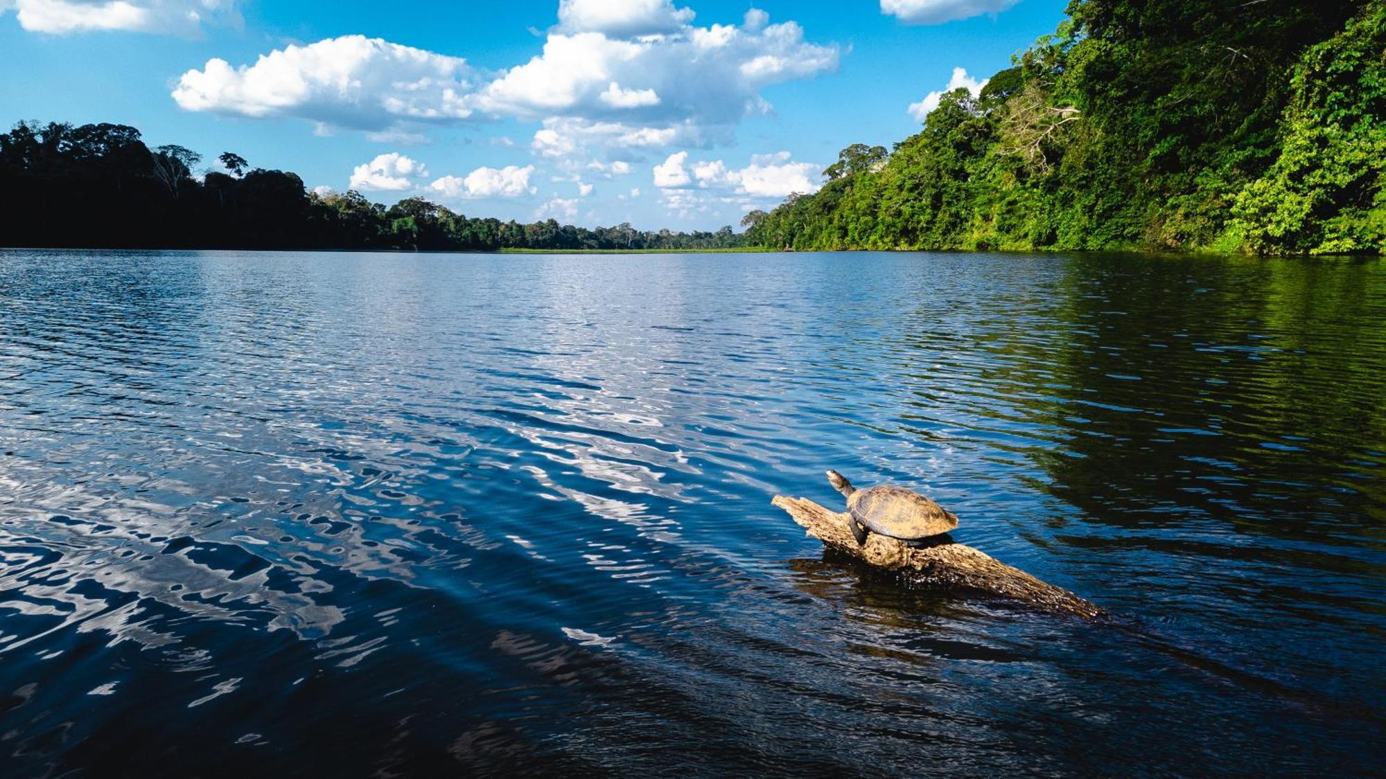 Tres Chimbadas Lake Lodge Tambopata Εξωτερικό φωτογραφία